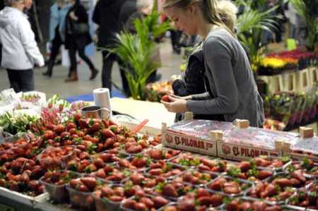 Farmers expect bumper strawberry harvest