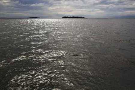 5 oil spills detected in Baltic Sea