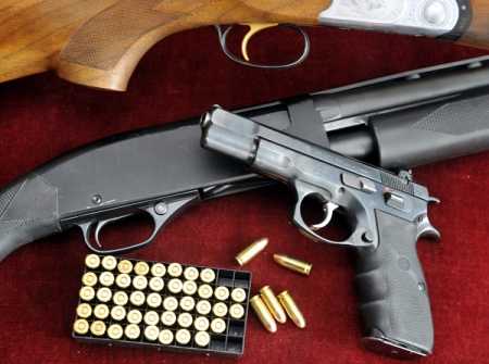 Tighter law lowers firearm sales