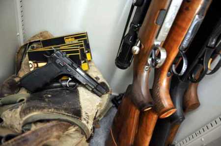 Tighter law lowers firearm sales