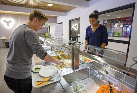 Schools urged to improve meal quality