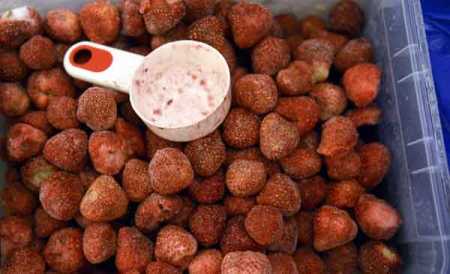 Imported strawberries suspected origin of jaundice epidemic