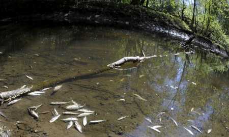 Paint factory may  face environmental degradation  charges