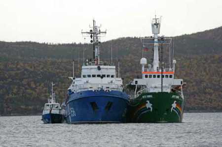 Dutch govt to negotiate with Russia: FM