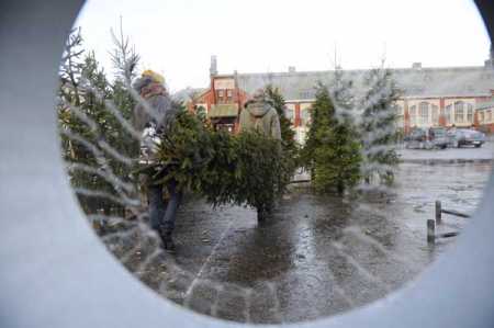 Christmas Eve today sets mood for Christmas tomorrow
