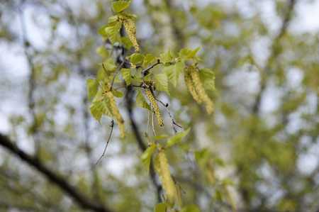 File Photo – Lehtikuva.
