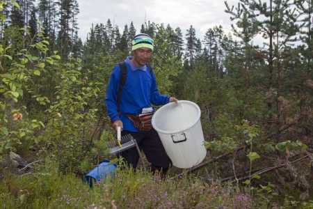 File picture of foreign berry picker.Photo Lehtikuva