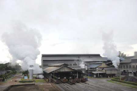 IOI Group palm oil plantations in Malaysia. File Photo Lehtikuva.
