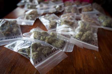 File picture of cannabis. Photo AFP-Lehtikuva.