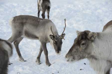 File Photo Lehtikuva.