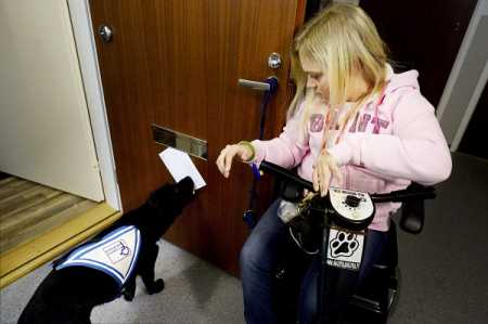 File picture of an assistant dog helping a person with disability. Photo Lehtikuva.