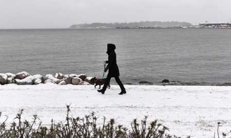 Country’s average temperature marks sharp rise