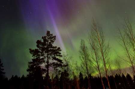 Abundant northern lights forecast