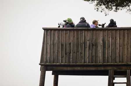 File Photo – Str / Lehtikuva.