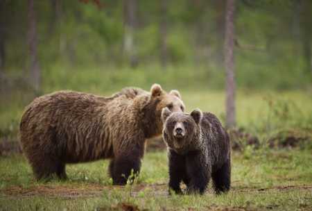 File Photo Lehtikuva.