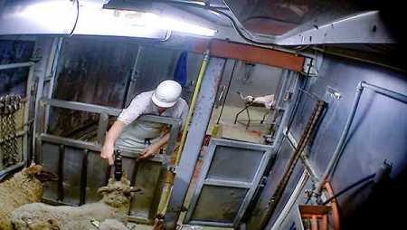 Video footage of slaughterhouse operation. Photo – Lehtikuva.