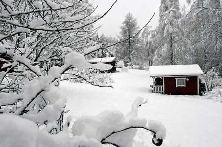 Snow storm causes massive power outage