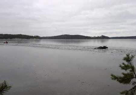 File Photo – Lehtikuva.