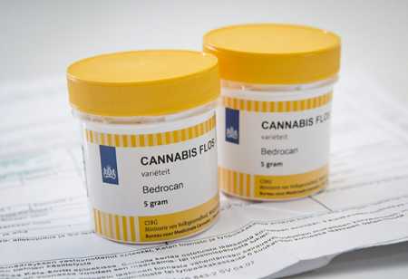 Use of medical marijuana increases 5 folds