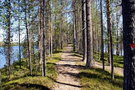 File Photo Lehtikuva.