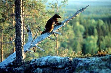 File Photo – Lehtikuva.
