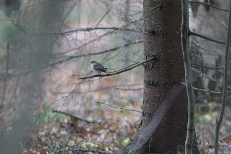 Photo – Lehtikuva.
